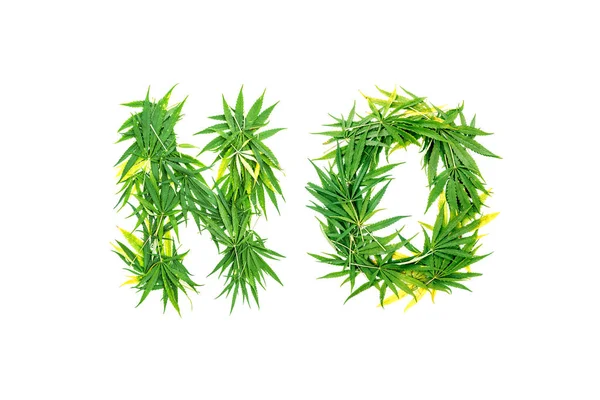 Szó Nem Készült Zöld Cannabis Levelek Fehér Alapon Elszigetelt — Stock Fotó