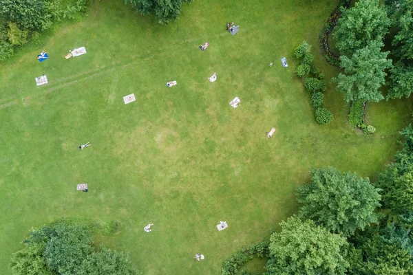 Top view of people lying on a green lawn in a summer park