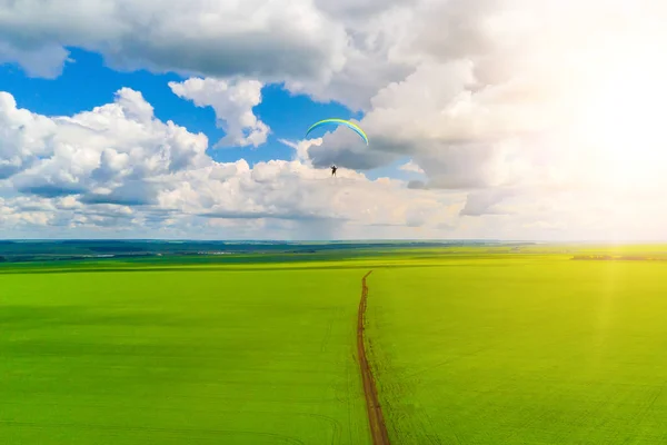 Vista Superior Del Hombre Volando Parapente Sobre Campo Verde Luz — Foto de Stock