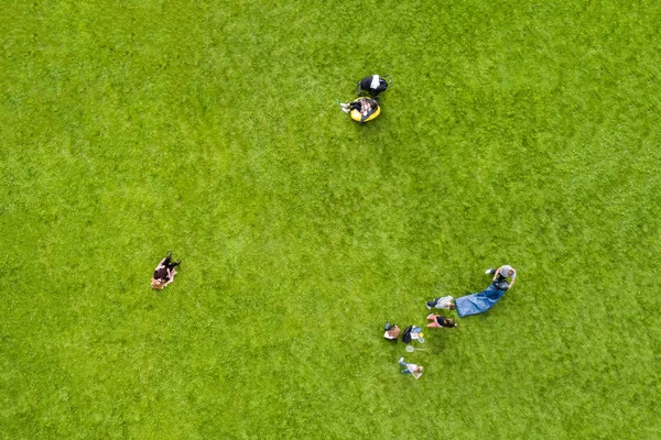 Vista Dall Alto Della Gente Che Riposa Sul Prato Verde — Foto Stock