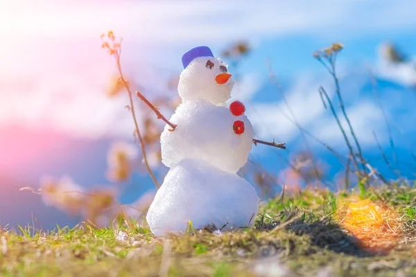 Снеговик Синей Шапке Траве Солнечном Свете — стоковое фото