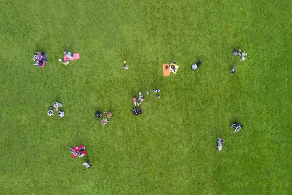 Top view of the people are resting on the lawn in the park