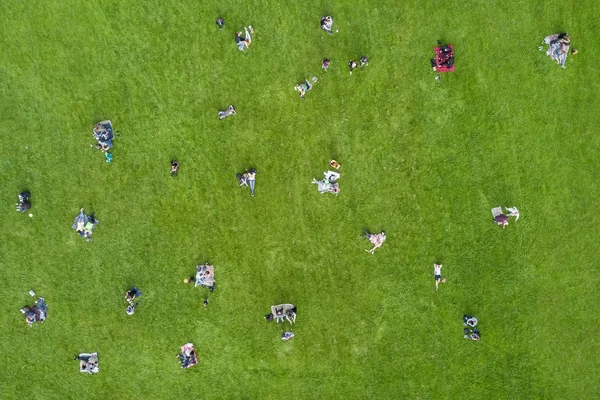 Vista Dall Alto Della Gente Che Riposa Sul Prato Nel — Foto Stock