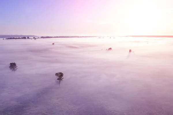 Nebbia Sul Campo Con Alberi All Alba Tramonto Vista Dall — Foto Stock