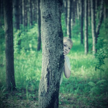 Sarışın çocuk ormanda bir ağaç arkasına saklanmış. Tonda