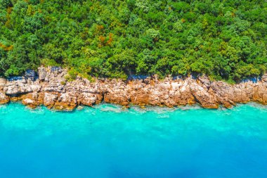 Yeşil ormanıyla kaplı kaya yakınındaki deniz, üstten görünüm