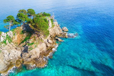 Bir kayalık adanın yeşil ağaçlar ile üstten görünüm