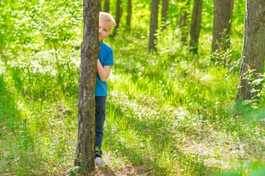 Saklanarak bir mavi T-shirt arkasında bir ağaç gövdesi bir parkta güneşli bir sarışın çocuk