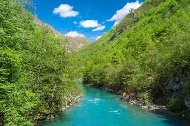 Dağlarda bir yeşil orman tarafından çevrili Nehri'nin üstten görünüm