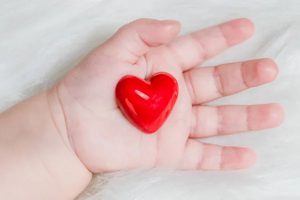 Elinde Bir Bebek Beyaz Kürk Arka Plan Üzerinde Kırmızı Kalp — Stok fotoğraf