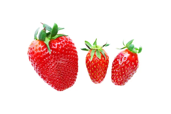 三成熟的红色草莓在白色背景 — 图库照片