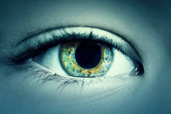 Grüne Augen Der Dunkelheit Nahaufnahme Gemildert — Stockfoto