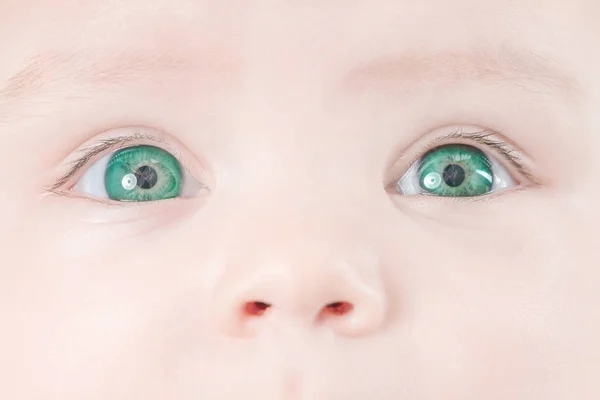 Πρόσωπό Του Ένα Χαριτωμένο Μωρό Πράσινα Μάτια Γκρο Πλαν — Φωτογραφία Αρχείου