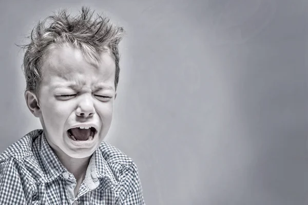 Crying little boy on a gray background