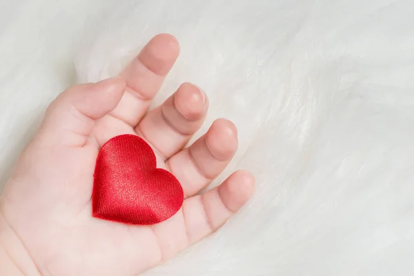 Elinde Bir Bebek Beyaz Kürk Arka Plan Üzerinde Kırmızı Kalp — Stok fotoğraf