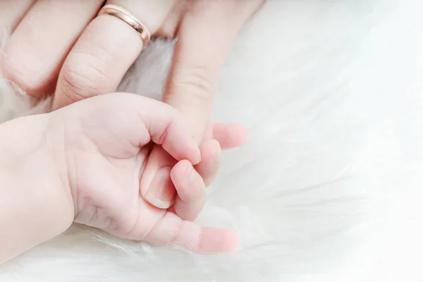 Die Hand Eines Babys Hält Den Finger Einer Frau — Stockfoto