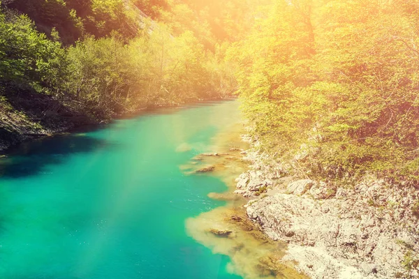 Fiume Montagna Circondato Una Foresta Verde Una Giornata Sole — Foto Stock