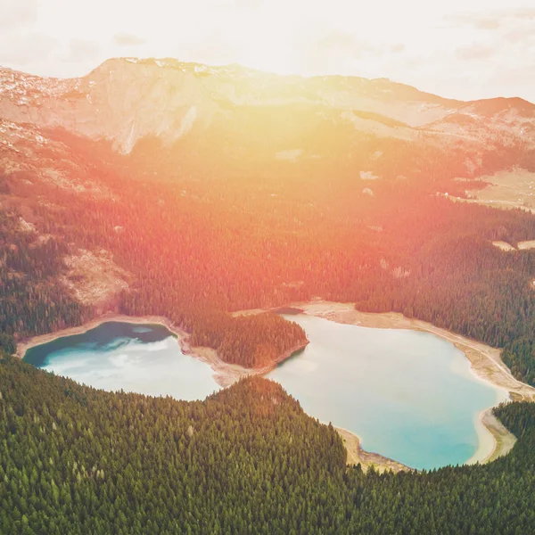 Vista Dall Alto Bellissimo Lago Montagna Circondato Dal Verde Della — Foto Stock