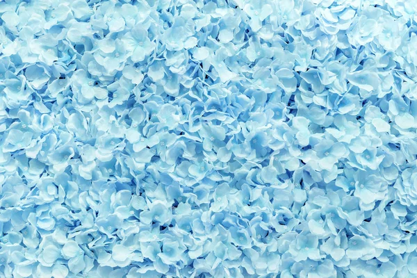 Blue Fake Flowers Background Texture — Stock Photo, Image