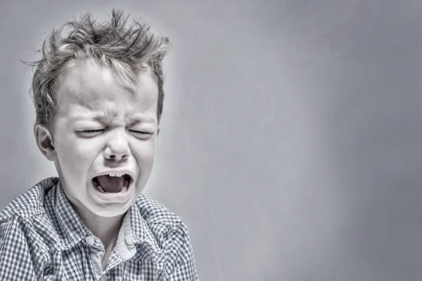 Pleurer Petit Garçon Sur Fond Gris Photos De Stock Libres De Droits