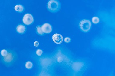 Kabarcıklar, arka plan ile Blue Ice