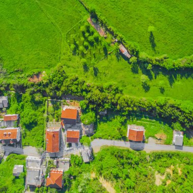 Üstten görünüm köyü nün yeşil çimenlerin üzerinde kırmızı kiremitli çatılı evler