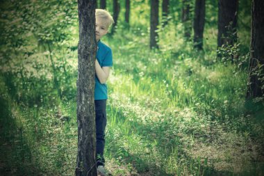 Sarışın çocuk arkasında, ormanda bir ağaç gövdesi. Tonda
