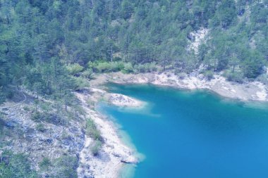 Yeşil orman tarafından çevrili güzel dağ Gölü