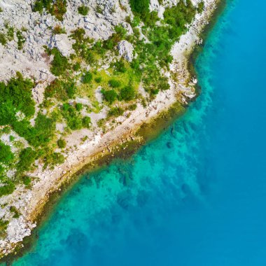 Bir kayalık sahil yeşil bitkiler ile üstten görünüm