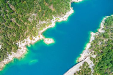 Yeşil orman tarafından çevrili bir güzel dağ gölü üstten görünüm