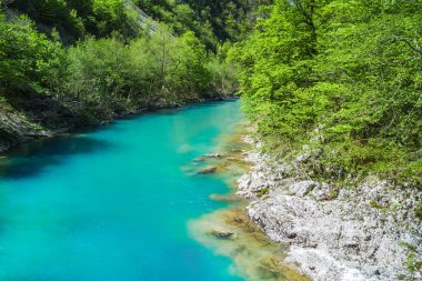 Dağlarda bir yeşil orman tarafından çevrili Nehri'nin üstten görünüm