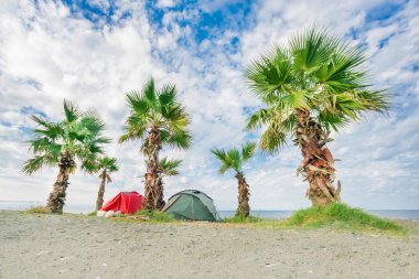 Turist çadır yakınındaki plajda palmiye ağaçları