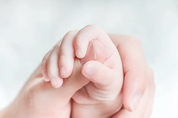 Die Hand Eines Babys Hält Den Finger Einer Frau — Stockfoto