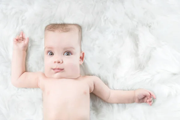 Cute Baby Square Head Lying White Fur — Stock Photo, Image