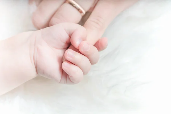 Die Hand Eines Babys Hält Den Finger Einer Frau — Stockfoto