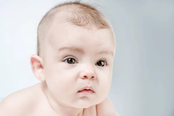 Cute Baby Gray Background — Stock Photo, Image