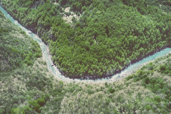 Widok Góry Rzeki Górach Otoczony Przez Zielony Las — Zdjęcie stockowe