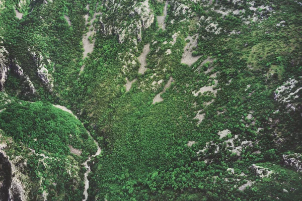 Vista Superior Bosque Verde Las Montañas — Foto de Stock