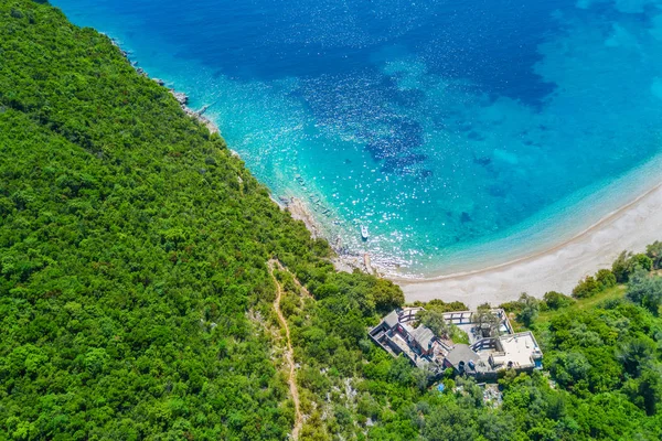 Maison Bord Mer Entourée Une Forêt Verdoyante Vue Dégagée — Photo