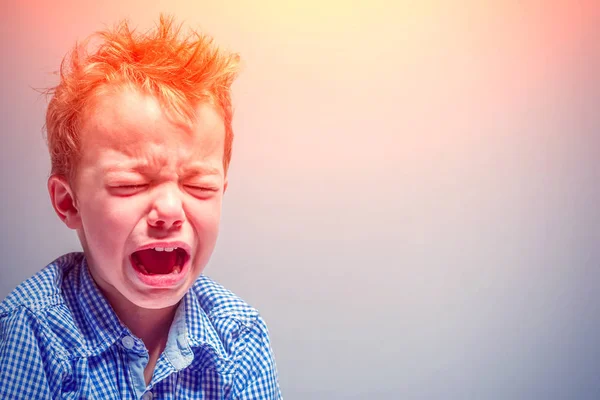 Crying little boy on a gray background in the sunlight