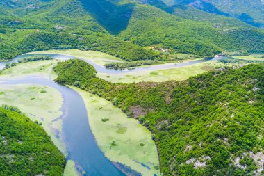 Yeşil algler Dağları ile kaplı bir nehrin üstten görünüm