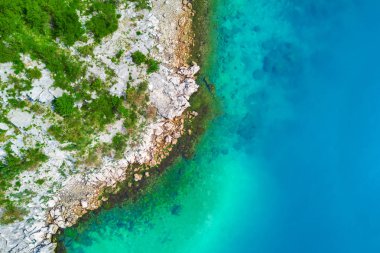 Bir kayalık sahil yeşil bitkiler ile üstten görünüm