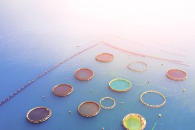 Dairesel su ürünleri Mesh güneş ışığı altında ana sayfa görünümü