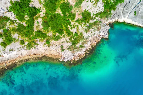 Bir kayalık sahil yeşil bitkiler ile üstten görünüm