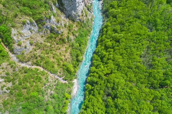 Top view of the river in the mountains surrounded by a green forest
