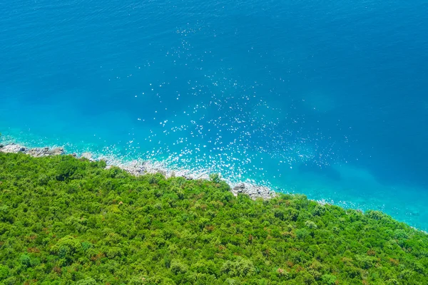 Green forest near the sea, top view