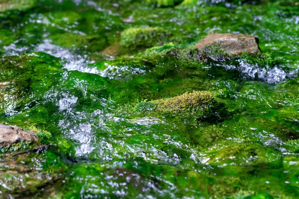 Pure Natural Stream Moss Covered Stone — Stock Photo, Image