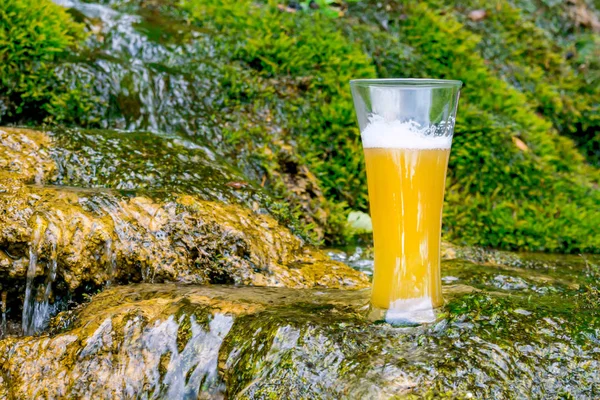 Cerveza Fría Fresca Vaso Sobre Fondo Natural — Foto de Stock