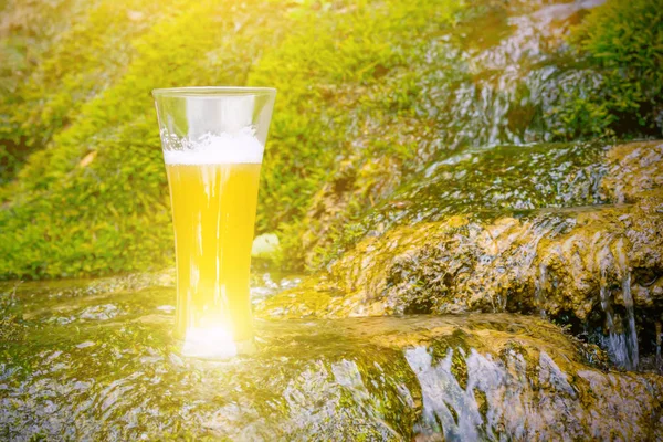 Frisches Kühles Bier Glas Auf Naturhintergrund — Stockfoto