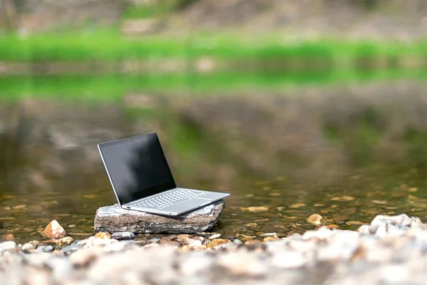 Laptop on nature background